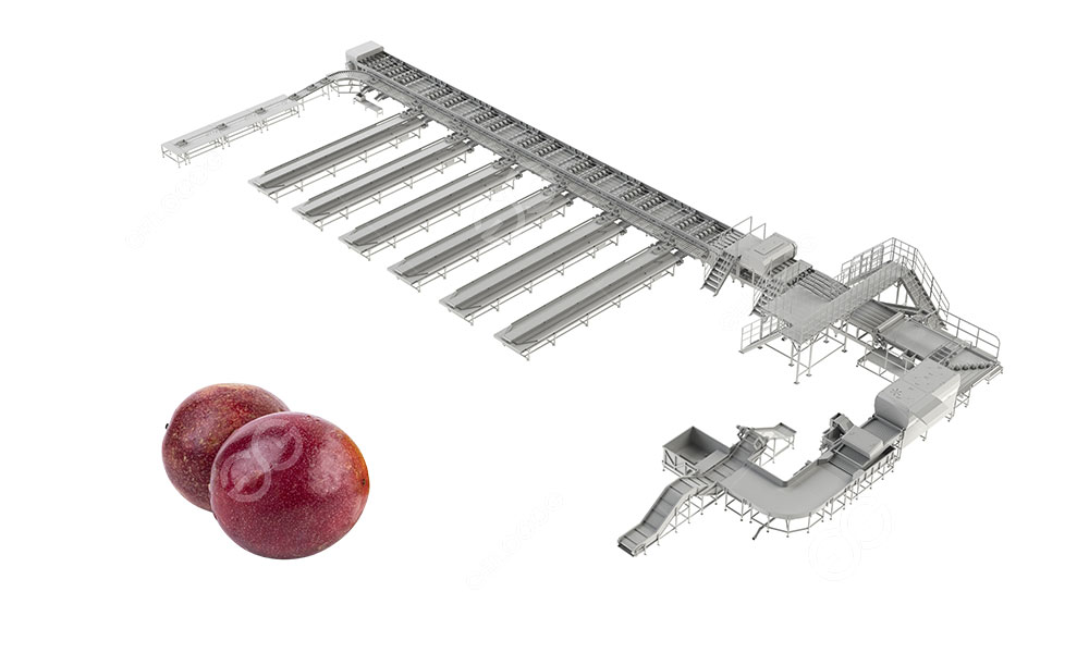 passion-fruit-grading-line
