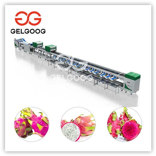 Dragon-Fruit-Weight-Grading-Machine
