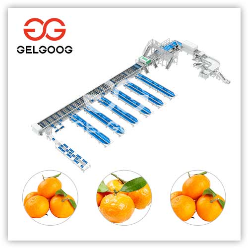 NIR-citrus-sorting-machine NIR-citrus-sorting-machine