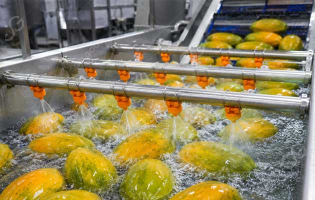 Papaya-Washing-machine