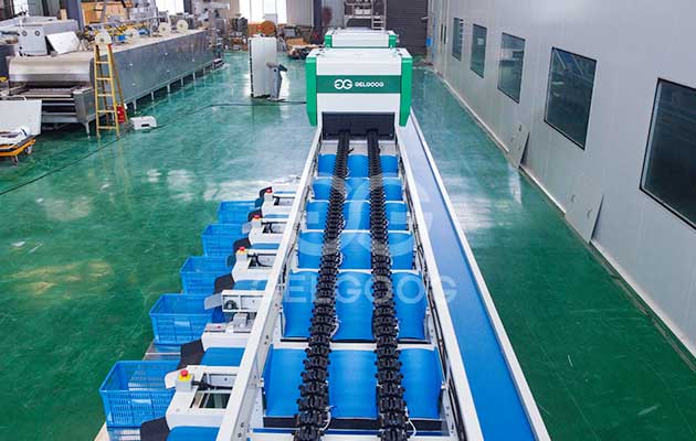 Strawberries-Sorting-&-Processing-Line