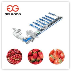 Strawberry-sorting-machine