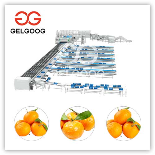 citrus-sugar-sorting-machine citrus-sugar-sorting-machine