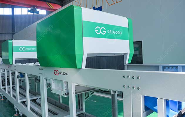 guavas-grading-processing-line