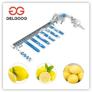 ماشین بازرسی ظاهر لیمو
