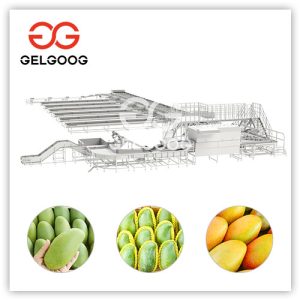 mango-brix-sorting-machine