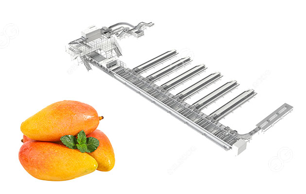 mango-sorting-machine