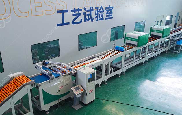 orange-grading-machine