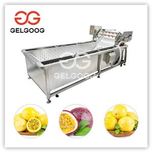 passion-fruit cleaning machine
