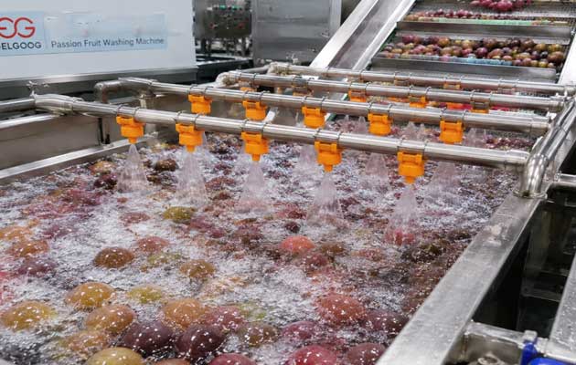 passion-fruit-washing-machine-for-sale