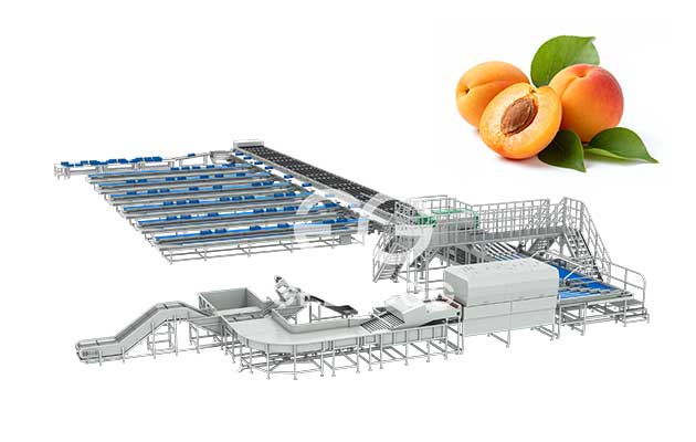 peach-grading-machine