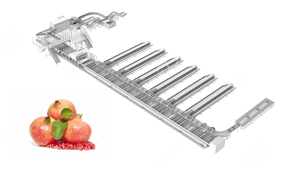 pomegranate-grading-line