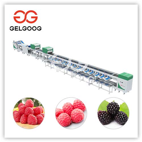 mesin pemilah raspberry mesin pemilah raspberry
