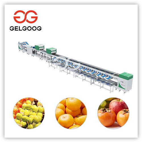 Fruit-Grading-System Fruit-Grading-System