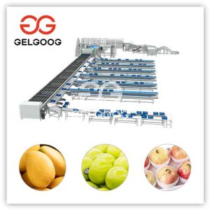 automatic-fruit-sorting-machine