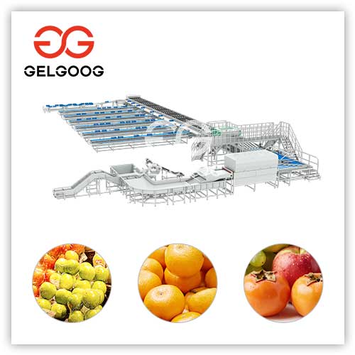 fresh-fruit-sorting-line