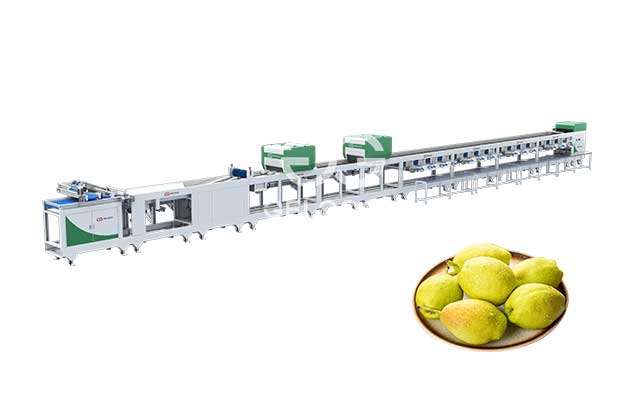 fruit-quality-sorting-machine
