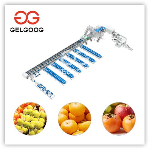 fruit-sorting-solution