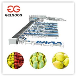 fruit-sweetness-grading-machine
