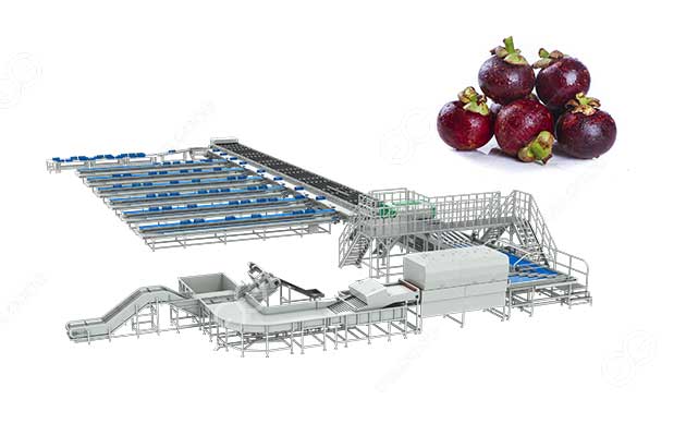 AI-mangosteen-grading-machine