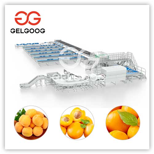 apricot-sorting-machine
