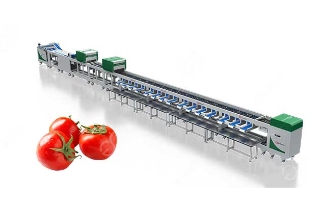 automatic-tomato-sorter