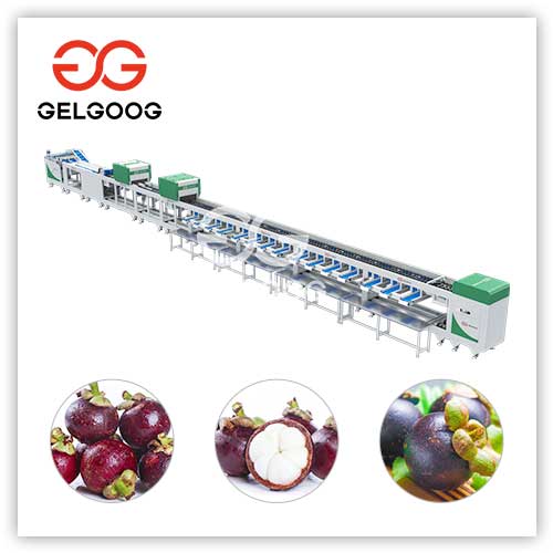 mangosteen-sorting-machine