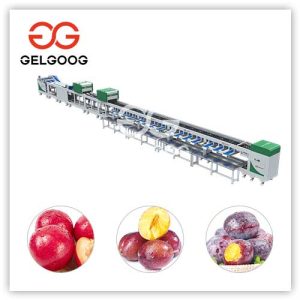 plum-grading-equipment