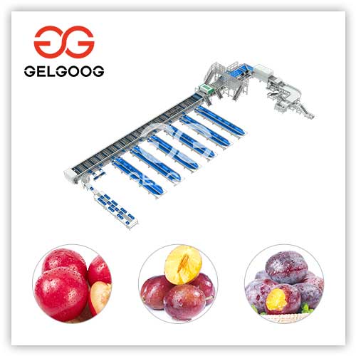 plum-sorting-equipment plum-sorting-equipment