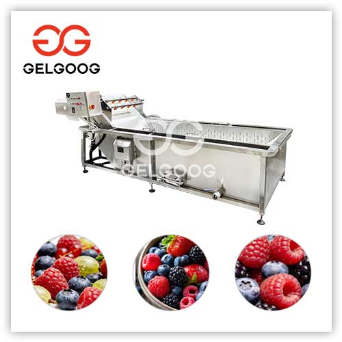 Berry-Washing-Equipment