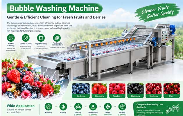 Berry-Washing-Machine-for-sale