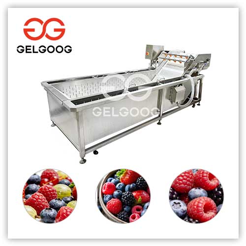 Berry-Washing-Machine Berry-Washing-Machine