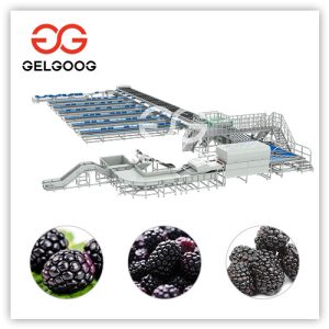Blackberry-Sorting-Equipment