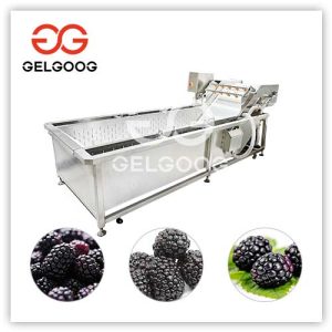 Blackberry-Washing-Equipment