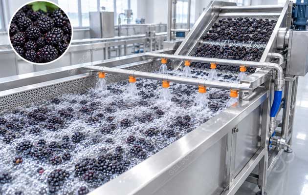 Blackberry-Washing-Machine-for-sale
