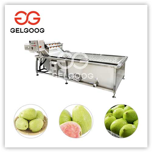 Guava-Washing-Machine