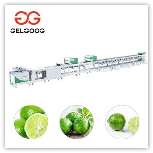 Lime-Sorting-Machine