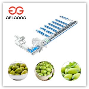 Olive-cleaning-Machine
