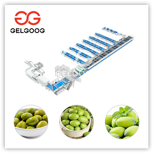Olive-cleaning-Machine Olive-cleaning-Machine
