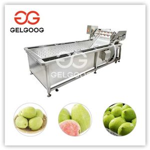 guava-washer