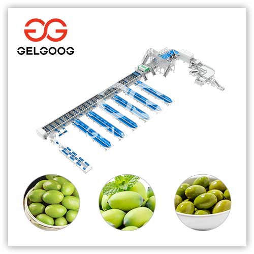 olive-grading-machine olive-grading-machine
