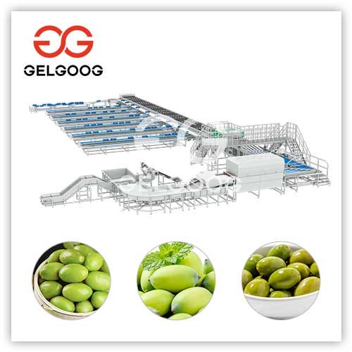 olive-sorting-machine